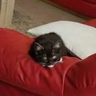 Profile Picture of   alyssa_van_der_klink... (@alyssa_van_der_klink) on Tiktok