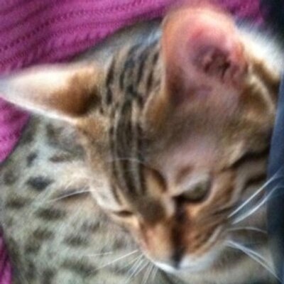 Profile Picture of Lorraine Matthews (@LorraineFina) on Twitter