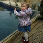 Profile Picture of Ainslie David Dobson (@ainsliedobson) on Instagram