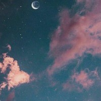 Profile Picture of Dunya Aidibi (@dunya-aidibi) on Quora