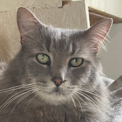 Profile Picture of Jeffrey Larson (@JeffreyLarson-s1f) on Youtube