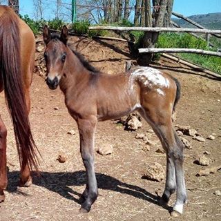 Profile Picture of Paolo Persichilli (zeus) (@Paolo-Persichilli) on Facebook