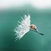 Profile Picture of Ronald Huynh (@ronaldh21) on Pinterest