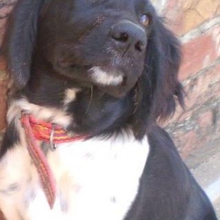 Max Darling (Maxi) - Facebook Profile Picture of Max Darling (Maxi) (@max.darling.31) on Facebook