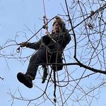 Profile Picture of Steven Leggett (@arboreal34) on Instagram