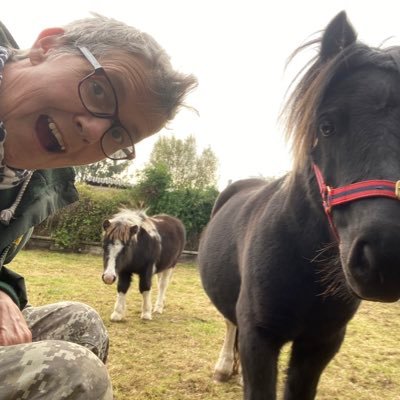 Profile Picture of Jo Wheatley (@mojojungle68) on Twitter