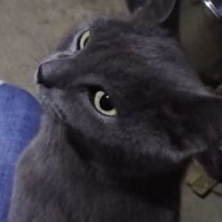 Profile Picture of Denis Gutiérrez (@DenisGu54654099) on Twitter