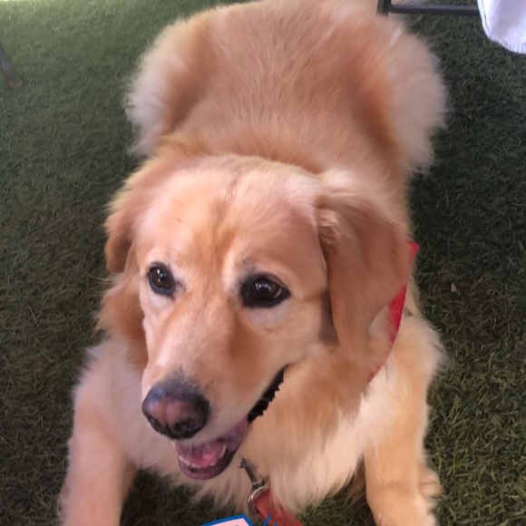 Profile Picture of Jennifer Leinweber (@leinwebe) on Poshmark