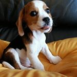 Profile Picture of chong joon kin (@chong_joonkin) on Instagram