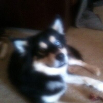 Profile Picture of Benjamin Emerson (@benjaminbslp) on Twitter