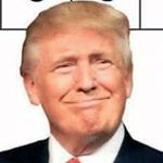 Profile Picture of Bing Bing Bong Bing (@trumps_perfection) on Instagram