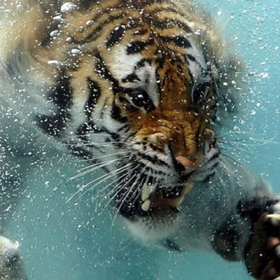 Andres David Torres Guell - Twitter Profile Picture of Andres David Torres Guell (@GuellAndres) on Twitter