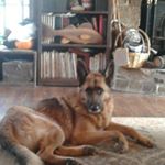 Profile Picture of Christian Harmon- Hodge (@christianharmonh) on Instagram