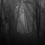 Profile Picture of Madeline lorenz (@mlorenz082211) on Instagram