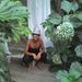 Profile Picture of Lucy Joo (@lucyjooswag) on Pinterest