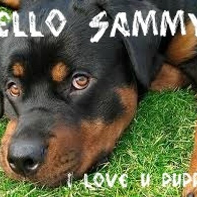 Profile Picture of Jacob Marz Malletteon Twitter