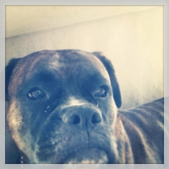 Profile Picture of Greg Faster (@tofffany) on Poshmark