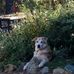 Profile Picture of Paula Schweitzer (@paula.schweitzer.58) on Facebook