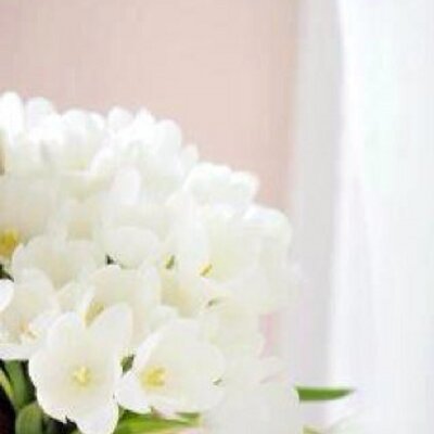 Profile Picture of امل الحياه (@mona_yu1) on Twitter