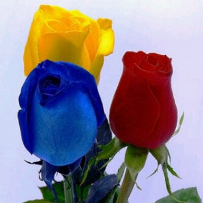 Profile Picture of Lorena Rojas (@@lorenarojas29) on Twitter