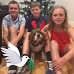 Profile Picture of Wendy Browning (@wendy.browning3) on Instagram