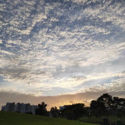 Profile Picture of Xiaoyu Yang (@yangxiaoyu8069) on Twitter