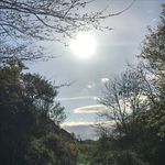 Profile Picture of ross vickers (@rossvickers33) on Instagram