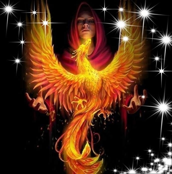 Profile Picture of Teresa Modahl (@teresamodahl) on Poshmark