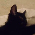 Profile Picture of Aneta Stoyanova (@aneta.stoyanova.94) on Facebook