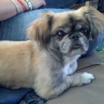 Profile Picture of Dusty Stanley (@stanley_dusty) on Twitter