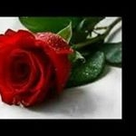 Profile Picture of mohammad Badawi (@mohammad_badawi_atf) on Instagram