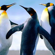 Profile Picture of Bandy Partner (@bandypartner1283) on Youtube