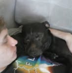 Profile Picture of Chanda Box Stutts (@chanda.boxstutts) on Facebook