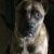 Profile Picture of John Schubert (@johnschubert562) on Pinterest
