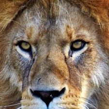 Profile Picture of Tom Withers (@TomWithers19) on Twitter