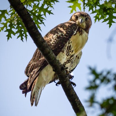 Profile Picture of Dave Henthorn (@HenthornPhoto) on Twitter