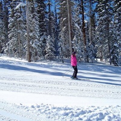 Profile Picture of Julia Petersen (@juliaptrsn) on Twitter