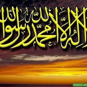 Tohid Naqvi - Twitter Profile Picture of Tohid Naqvi (@SyedTohidAhmed1) on Twitter