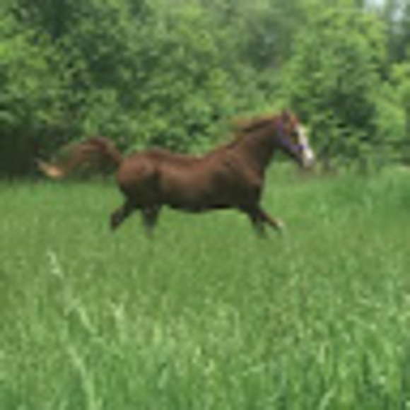 Profile Picture of Debbie Pells (@debbiepells) on Poshmark