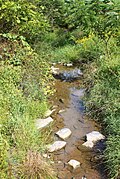 Wilson Run (Kipps Run tributary) - Wikipedia Profile Picture of Wilson Run (Kipps Run tributary)on Wikipedia