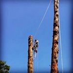 Profile Picture of Joe Polizzi (@joe_polizzi_) on Instagram