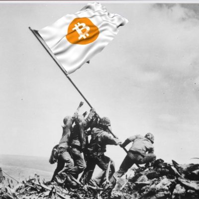 Profile Picture of Tom[ 🚀Space Marine Force] Vaughan (@TsonicTsunami) on Twitter