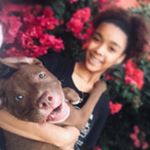 Profile Picture of Alex Sabillón (@sblln_alex) on Instagram