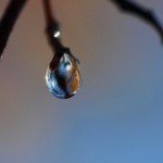 Profile Picture of Moritz (@moritzbradski9) on Instagram