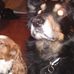 Profile Picture of Peter Thompson (@peter.thompson.1217) on Facebook