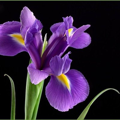 Profile Picture of NguyenThi Ngoc Thach (@NgocthachDs) on Twitter