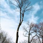 Profile Picture of Aaron Harrelson (@aaron.harrelson.1485) on Instagram