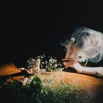 Profile Picture of Matt Gray (Seoul / Korea) (@mattgray.book) on Instagram