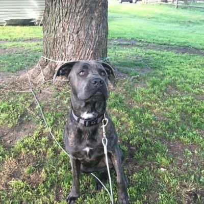 Profile Picture of Nathan Briner (@nathan_briner) on Twitter