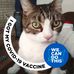 Profile Picture of Jim Newton (@jim.newton.5817) on Facebook